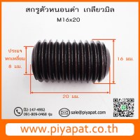 M16x20 รูปโชว์